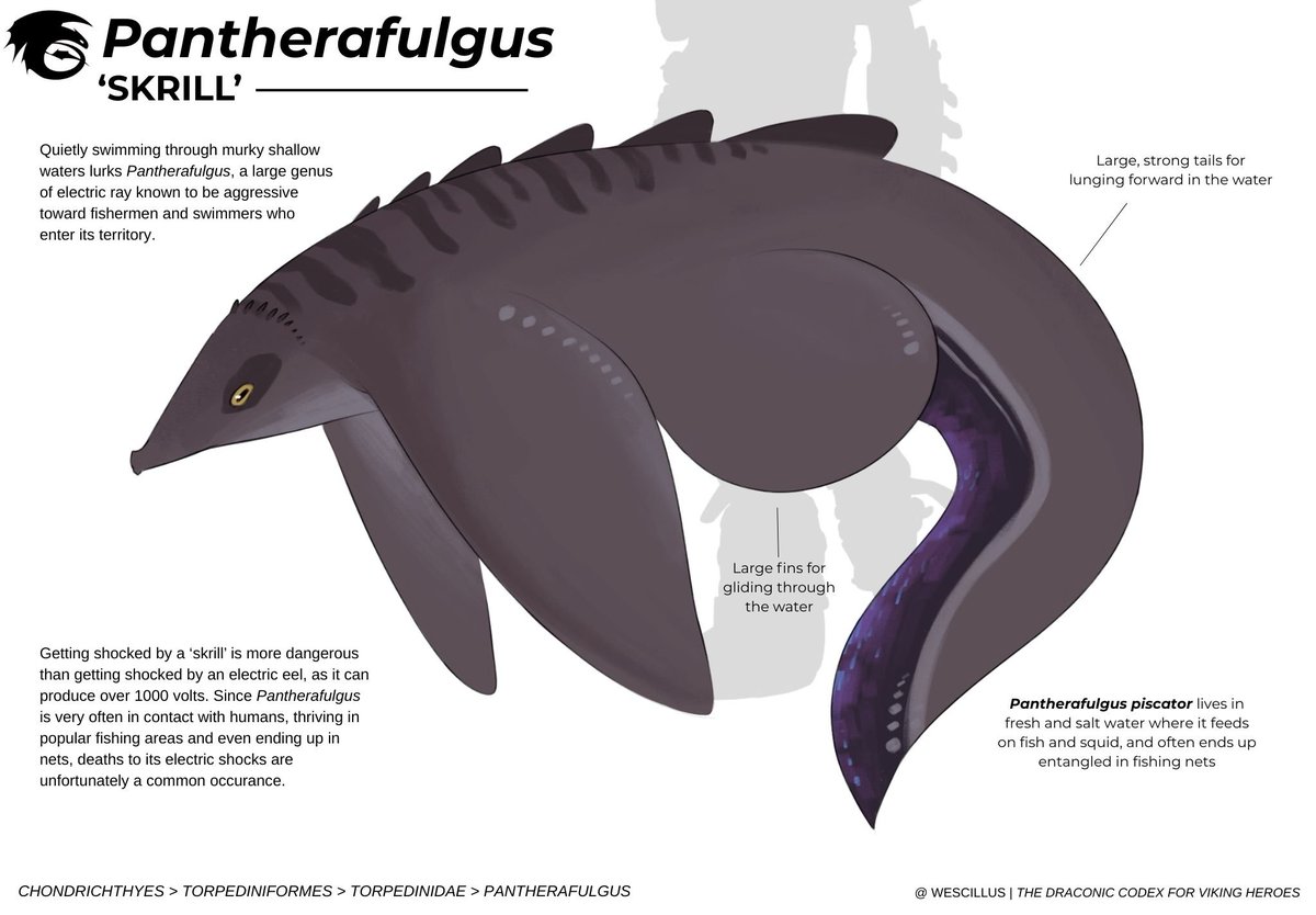 𓆀 WEZDARCHID 🍉 tweet media