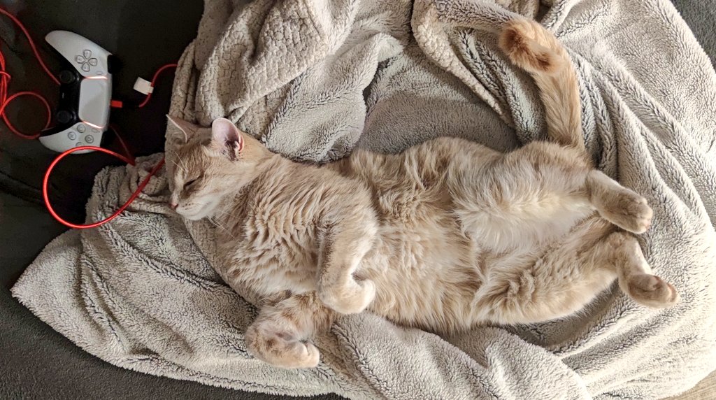 Это вообще законно?