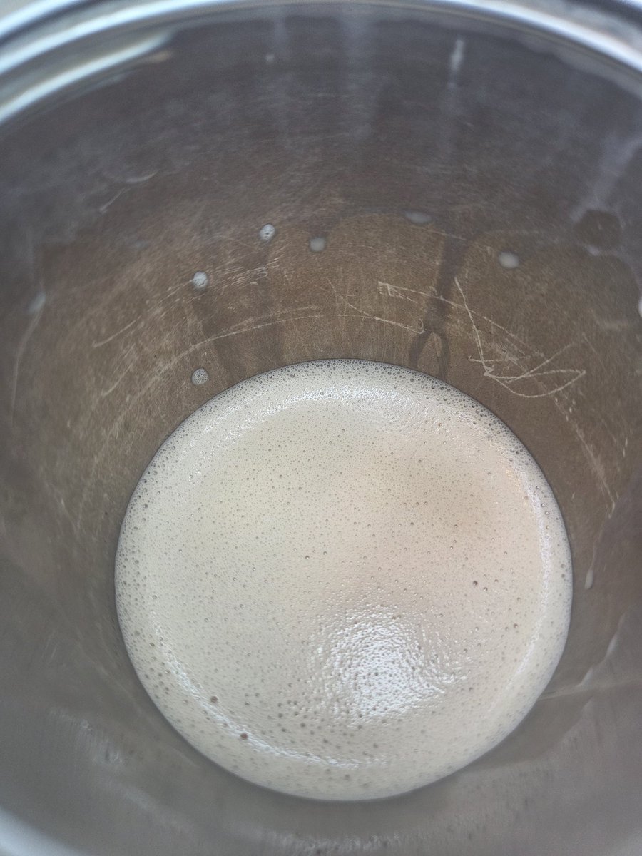 좋은 아침이요! 오늘도 아침에 둘째 나가려는데 문이 안열려서😅😅 아이가 방심하고 평소습관대로 문을 열어서... 조금 바빴던 아침이네요.  그래도 커피포기는 안되서... 열심히 뛰어서 사왔답니다. 뛴 흔적이 텀블러에 남아있는ㅎㅎ 전 이 텀블러가 좋네요. 최근 텀블러의, image size:900x1200