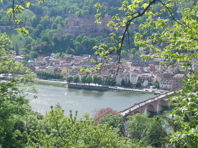 熊本市のイベント情報 tweet media