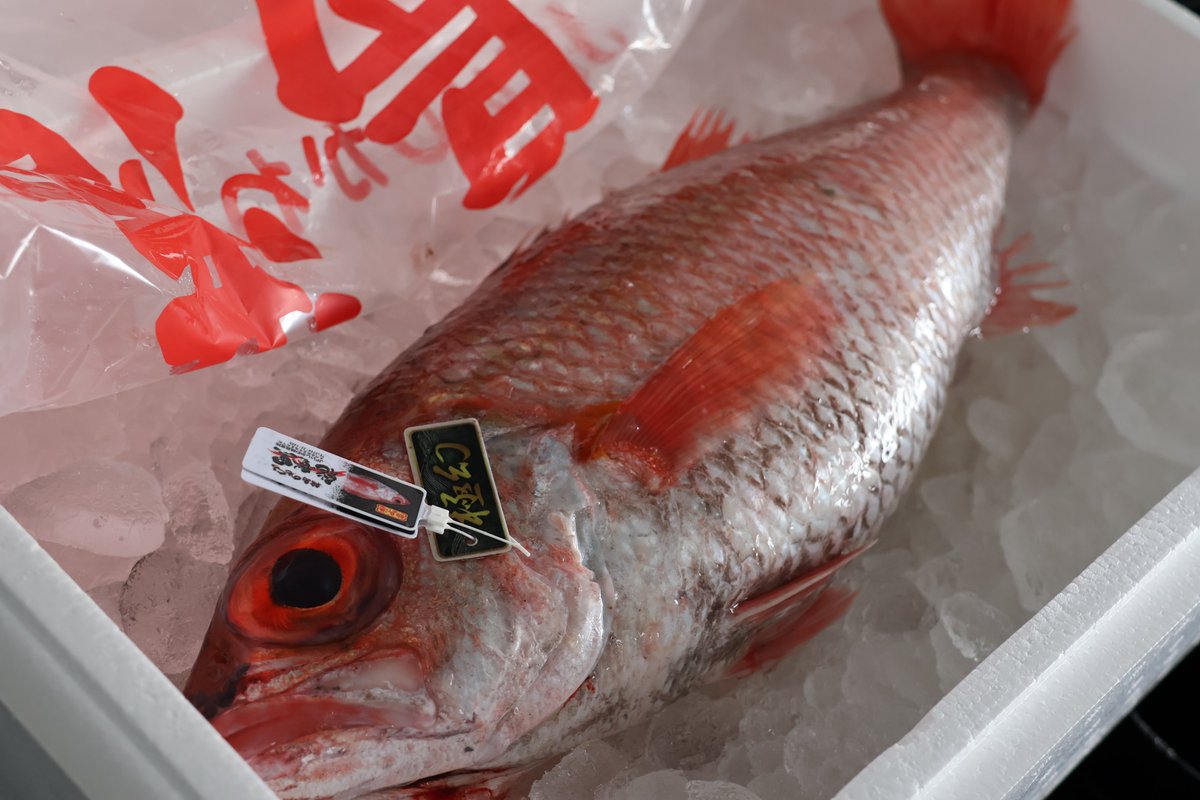 大漁商店さま　専用 セリの後は、輪島の魚の入札販売でした。 甘エビやノドグロ、ブリ