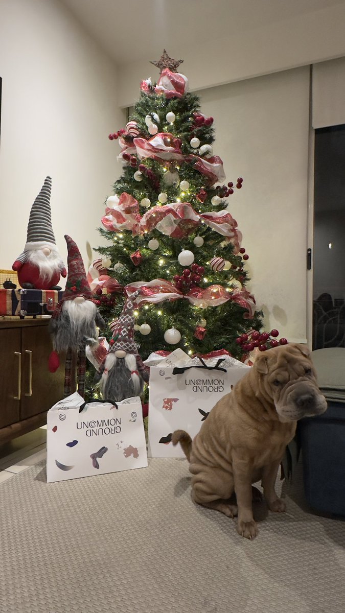 pamfloibe's tweet photo. @la_robolau Con regalos y perritu incluido 🫶🏻 https://t.co/yPUFTlNQEL