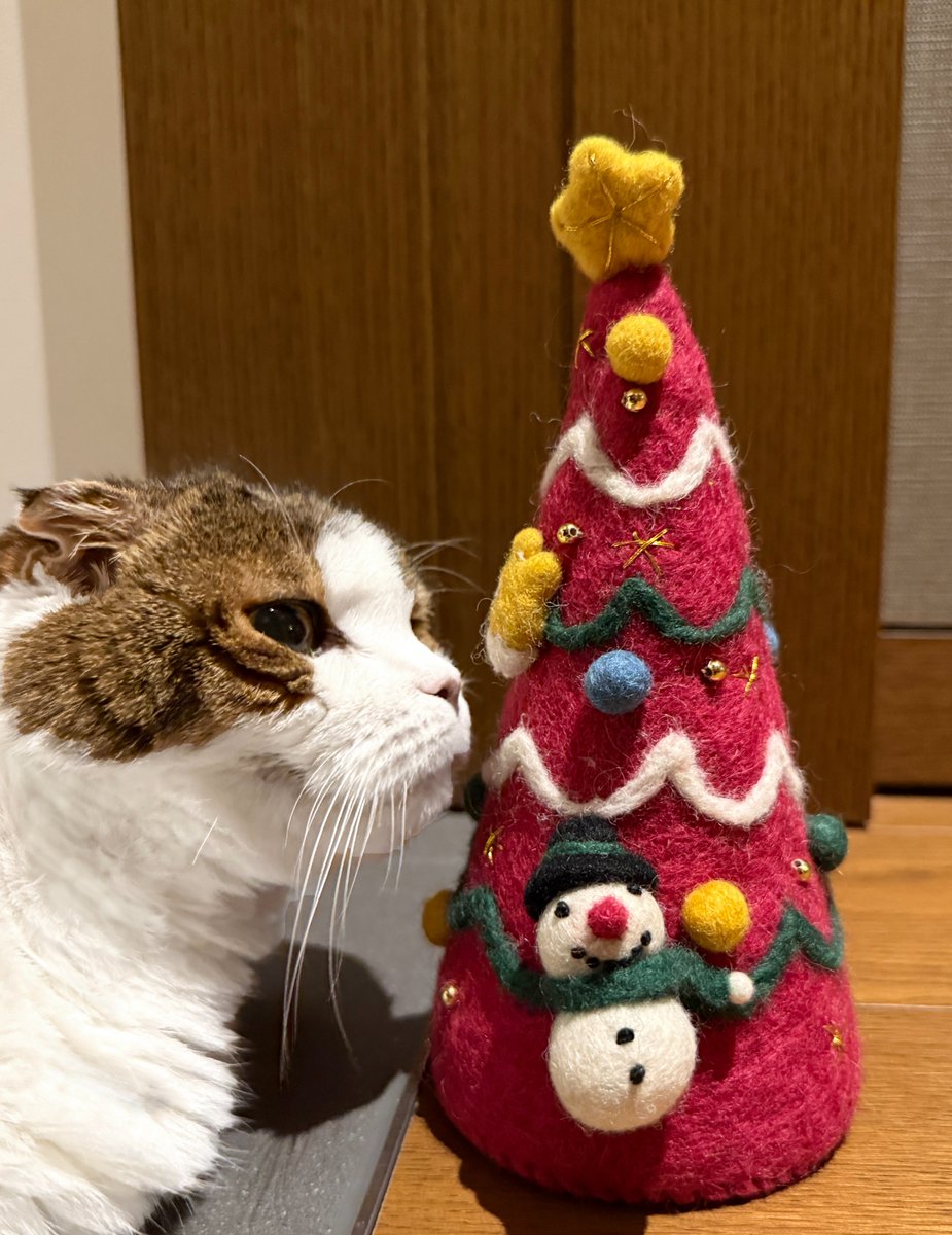 Sora_Sakurai's tweet image. メリクリー