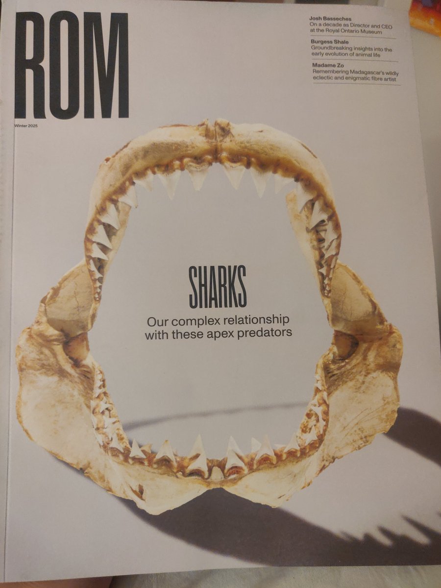 ObjectFromEons's tweet image. YAY!!!!!!!