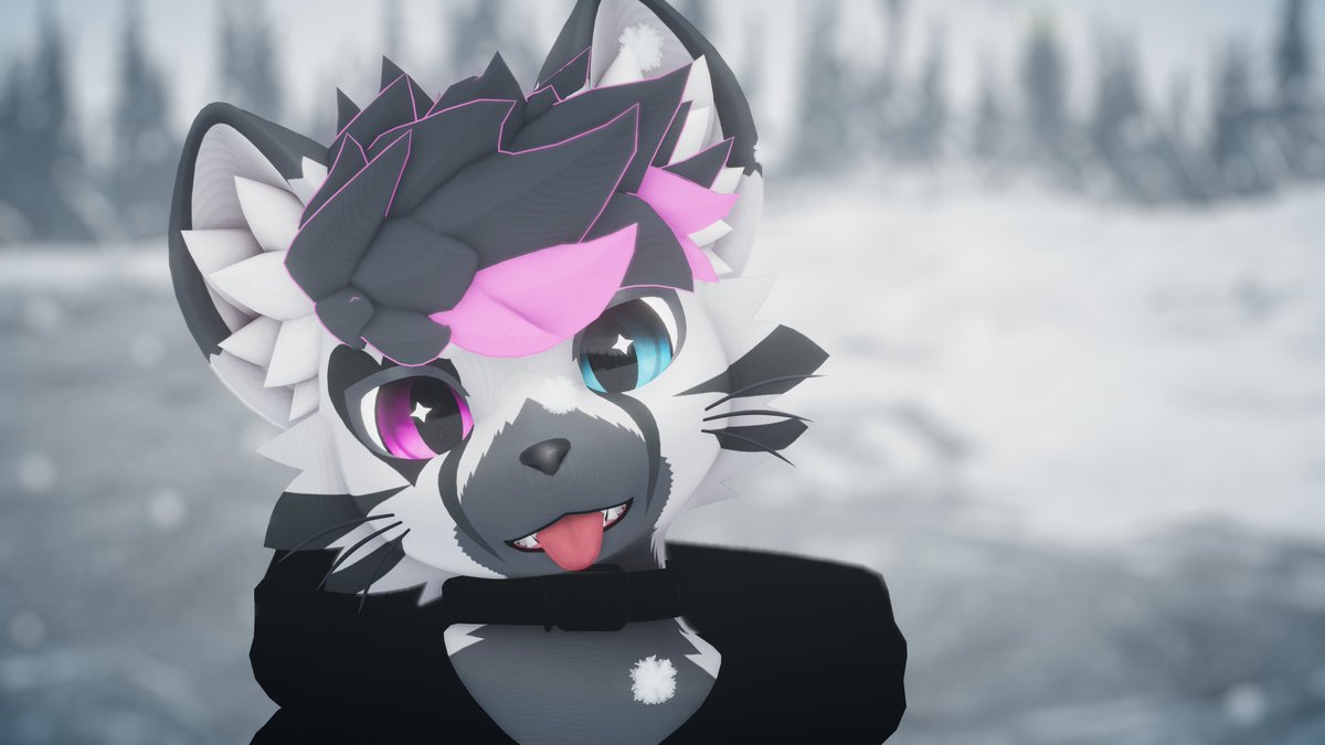 Nathanfoxhusky's tweet photo. Hi everyone! Hope you all have an amazing end of the year! Also, if you haven't seen my new Mayu... he's finally a Fox-Husky, not a cat, I swear! https://t.co/TodgG9ziFT