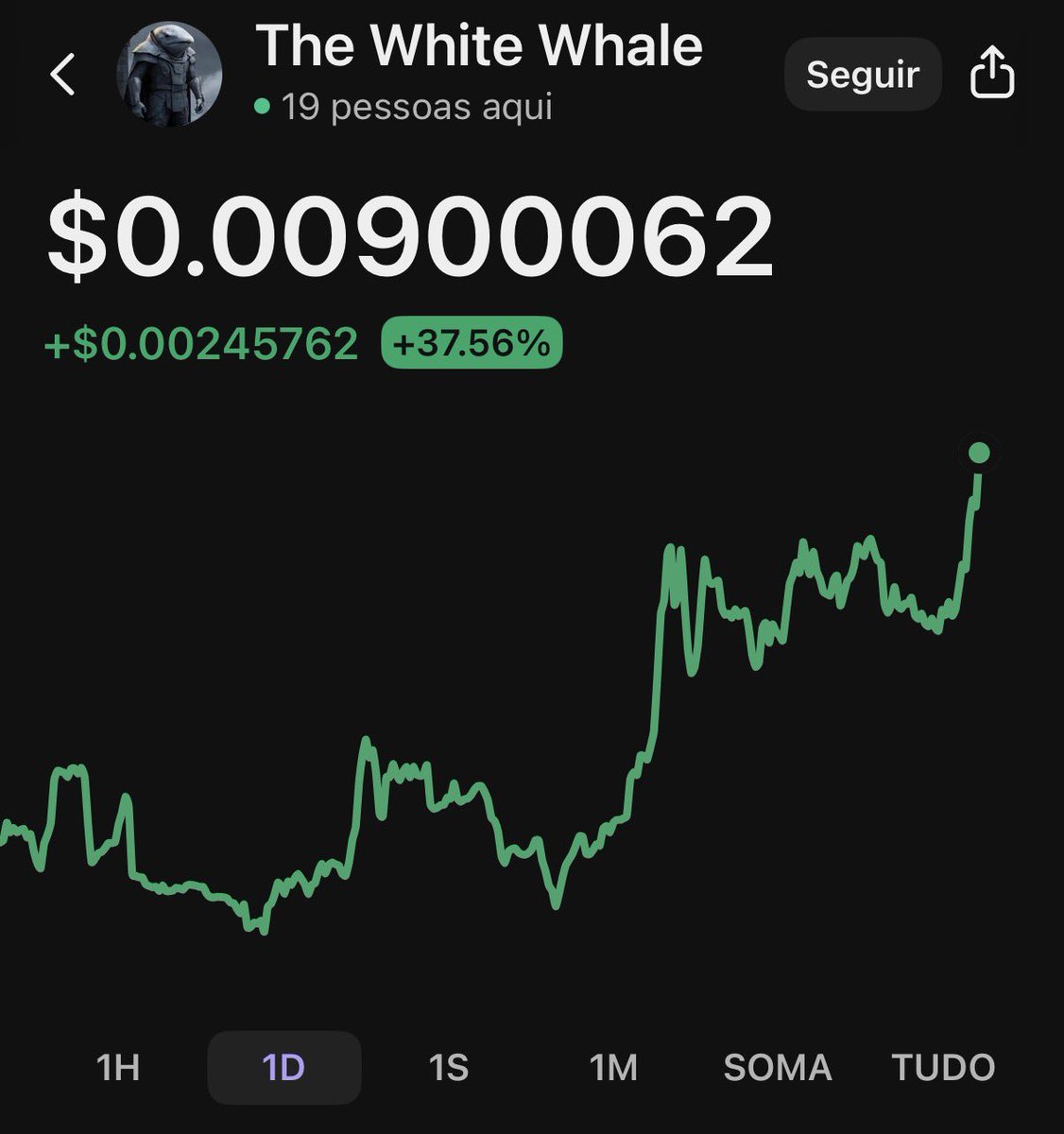 Leviburda's tweet image. HIGHER 

$Whitewhale