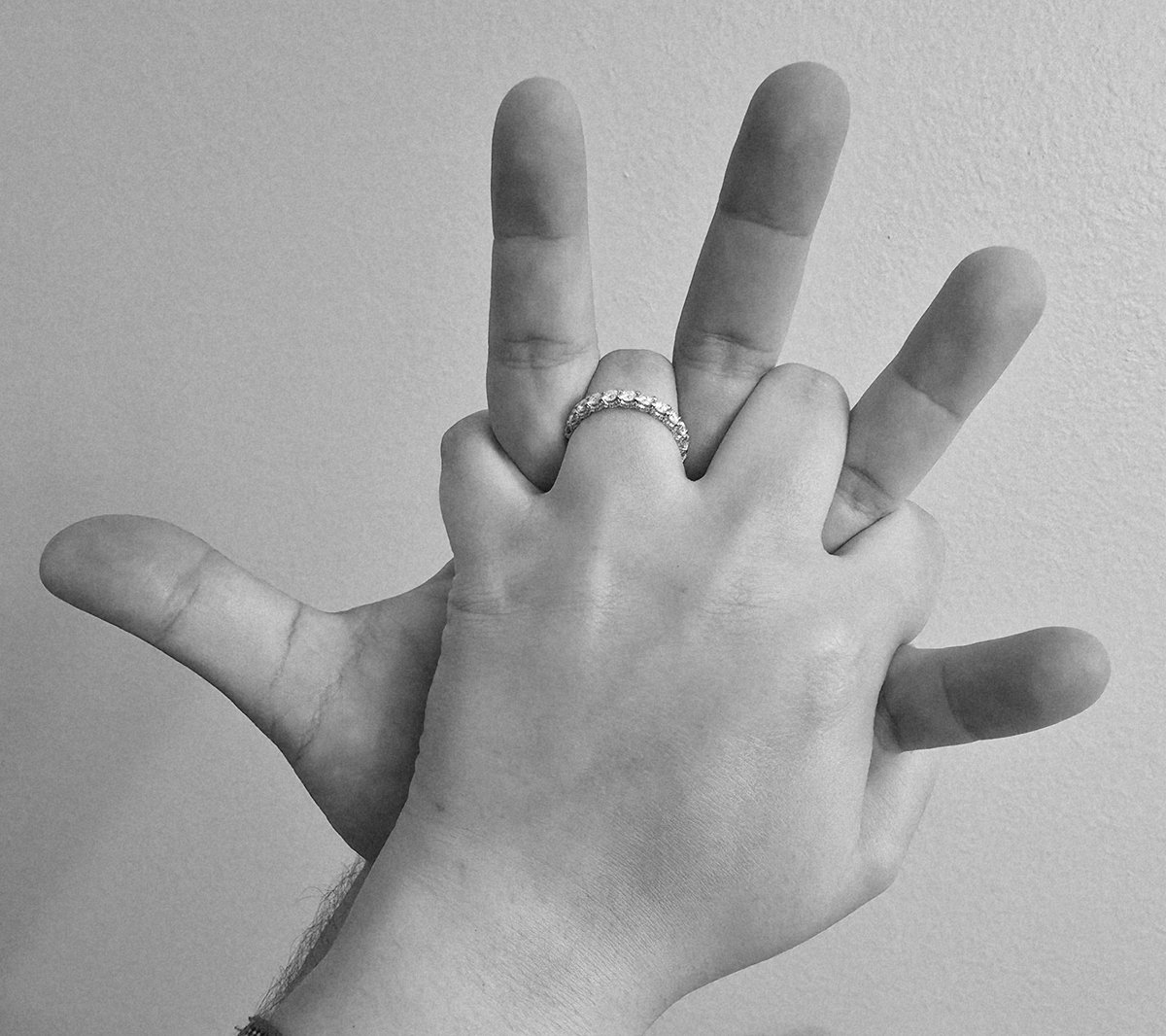 Lisealia「 Seal Dog Vtuber 」🦭🐺 tweet media