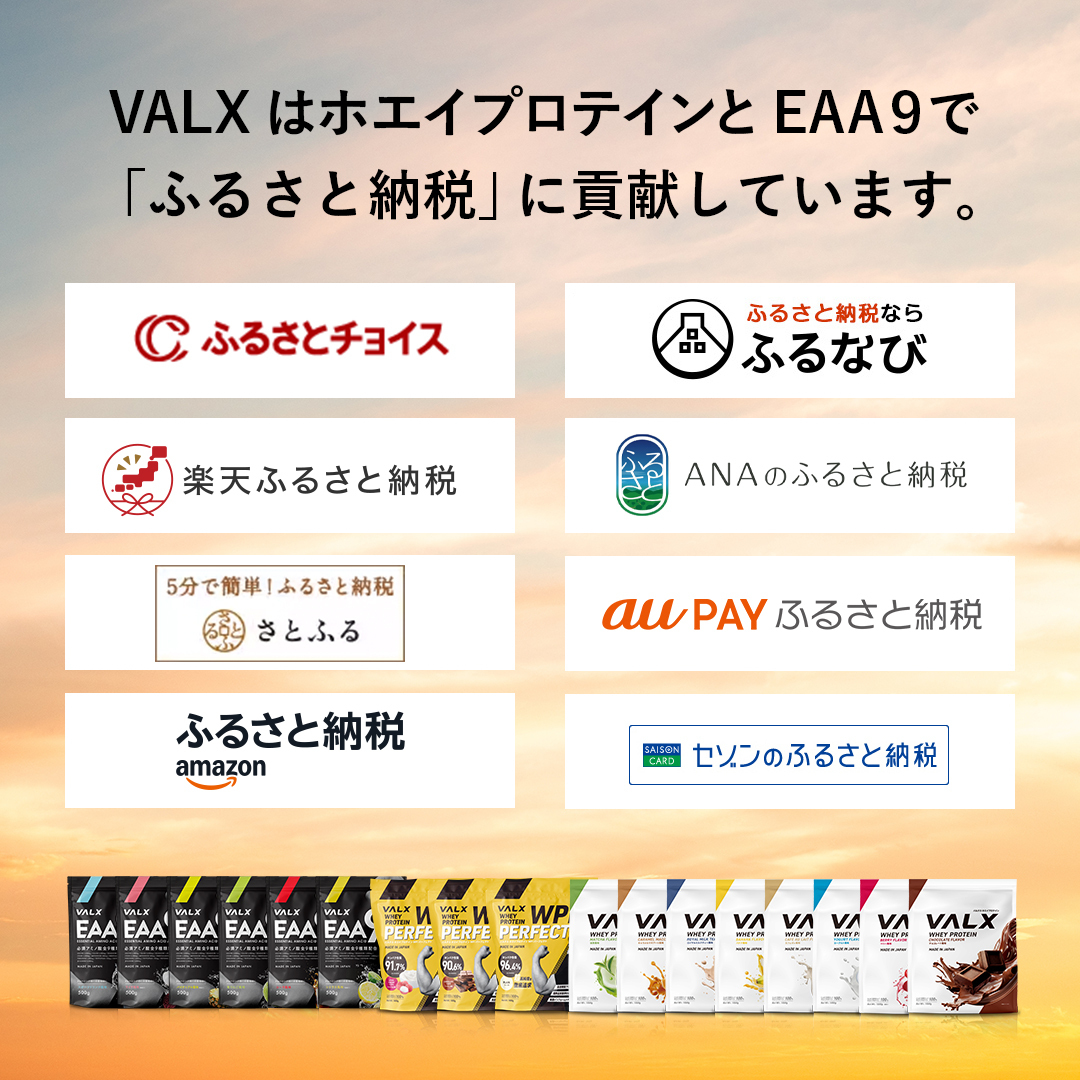 ふるさと納税、まだ間に合います！🏃💨 ＼ 申し込みを忘れていた方、 何を頼むか迷走中の方へ。 来年のための 「自己投資」を選びませんか？✨ ✓  常温保存で場所を取らない！ ✓ 賞味期限が長いからストックにも！ VALXの人気プロテインを返礼品で😌 🔻こちらから