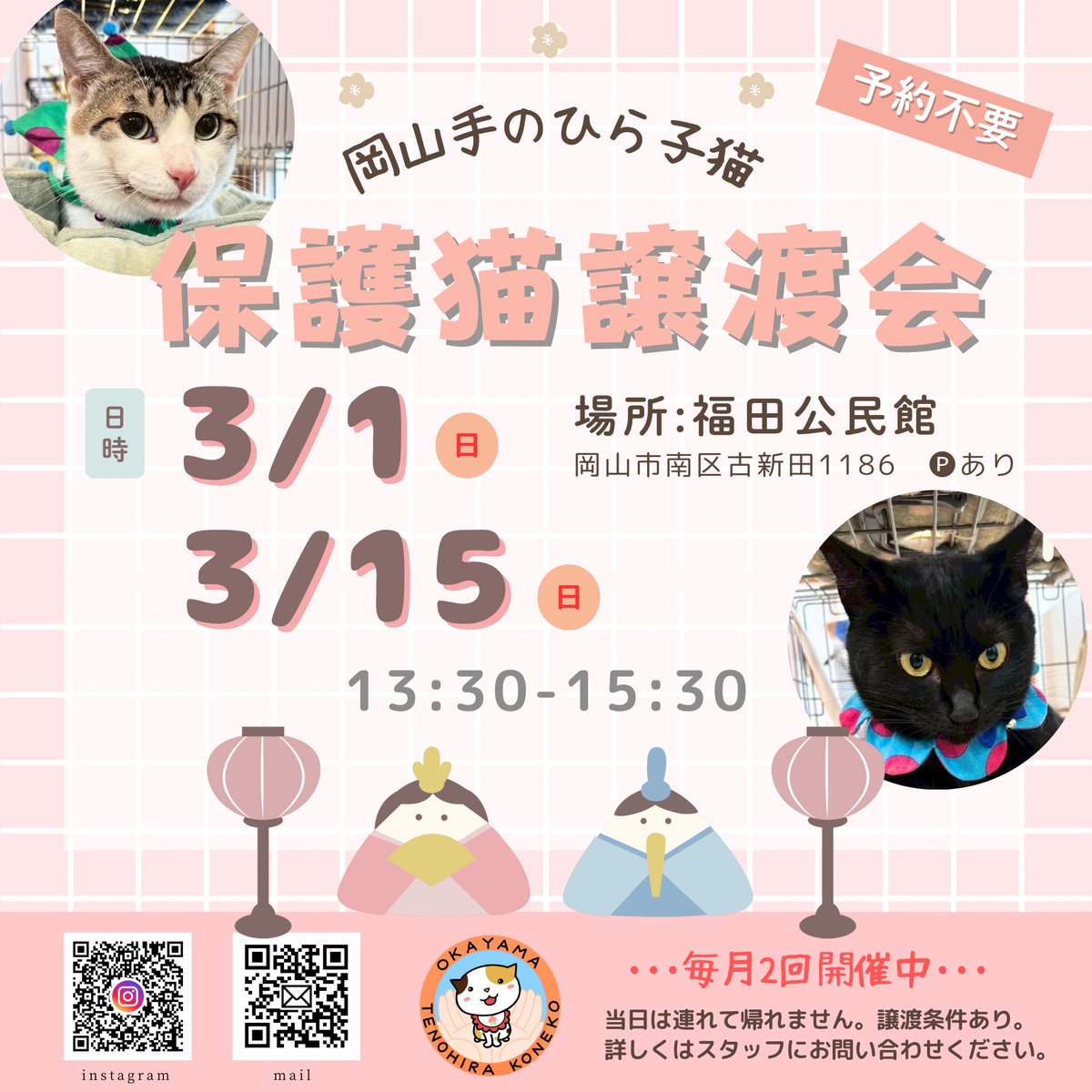 岡山手のひら子猫🎎3月の譲渡会のご案内  
保護猫譲渡会

#シェア希望　#拡散希望

2026年 3月 1日（日）
              3月15日（日）

🕒13:30〜15:30

📍福田公民館　🅿️あり

予約不要

#岡山 #倉敷 #保護猫 #里親募集中 #成猫 #譲渡会  #岡山手のひら子猫 #保護猫を家族に #猫のいる暮らし