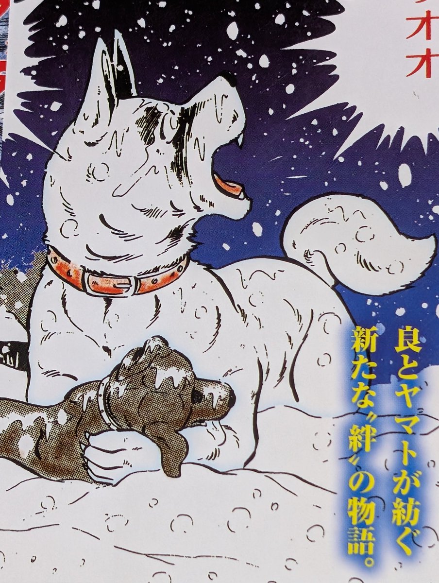 白い戦士ヤマト