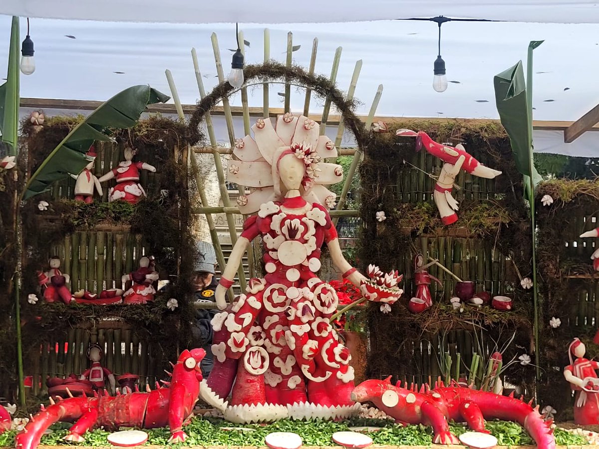 SusanaHarp's tweet image. Hoy se lleva a cabo la Noche de Rábanos en la ciudad de Oaxaca, como cada 23 de diciembre.

Desde 1887 se realiza esta actividad en la que se esculpen figuras ornamentales, ya que los puestos que entonces vendían hortalizas en el mercado de Vigilia de la Navidad eran adornados…