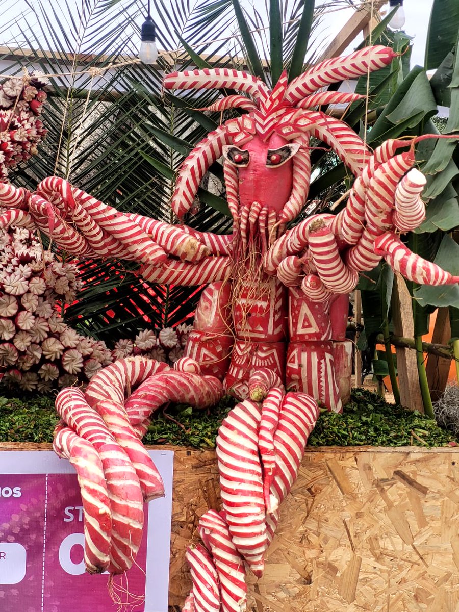 SusanaHarp's tweet image. Hoy se lleva a cabo la Noche de Rábanos en la ciudad de Oaxaca, como cada 23 de diciembre.

Desde 1887 se realiza esta actividad en la que se esculpen figuras ornamentales, ya que los puestos que entonces vendían hortalizas en el mercado de Vigilia de la Navidad eran adornados…