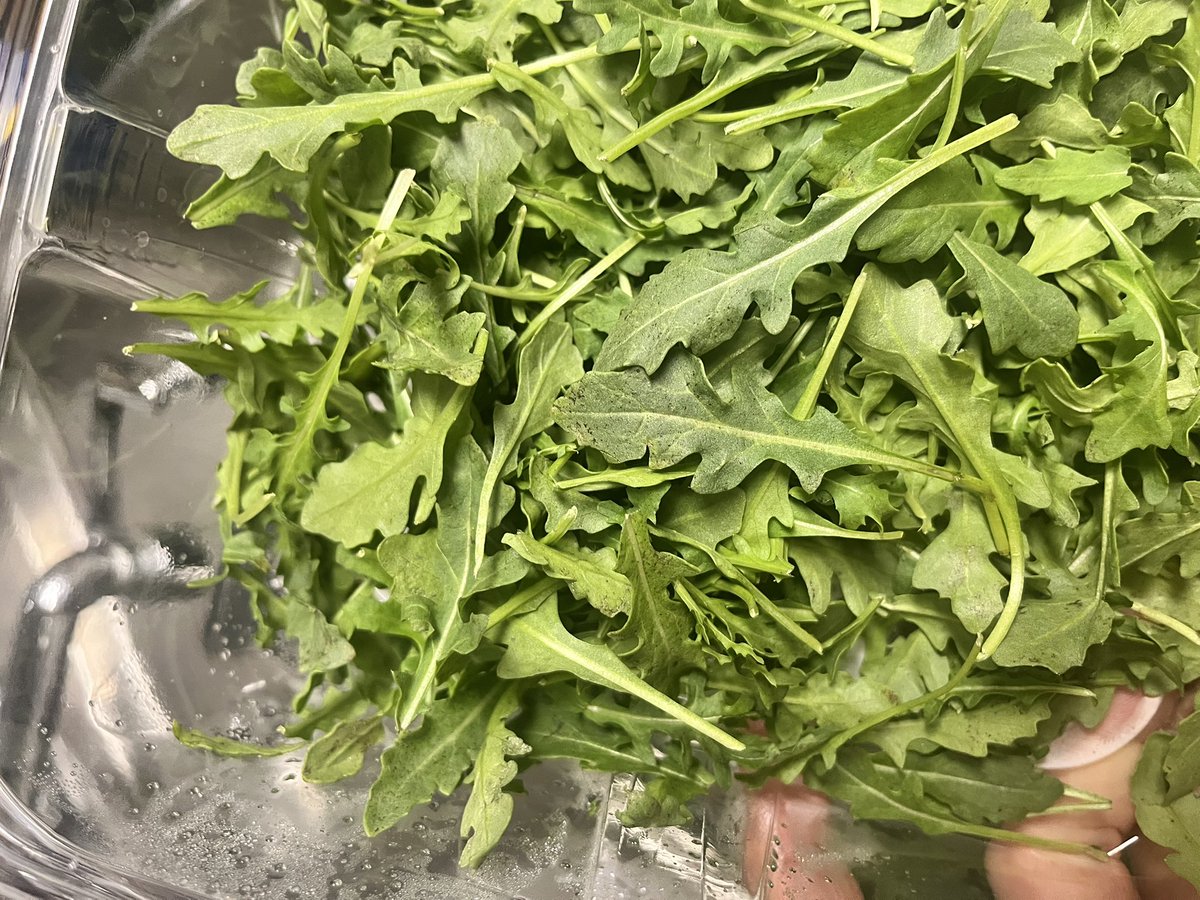 limonazzo's tweet photo. @bloomfreshfood arugula I just bought has those tiny black dots all over. Please advise… https://t.co/LwVzlBnkUe
