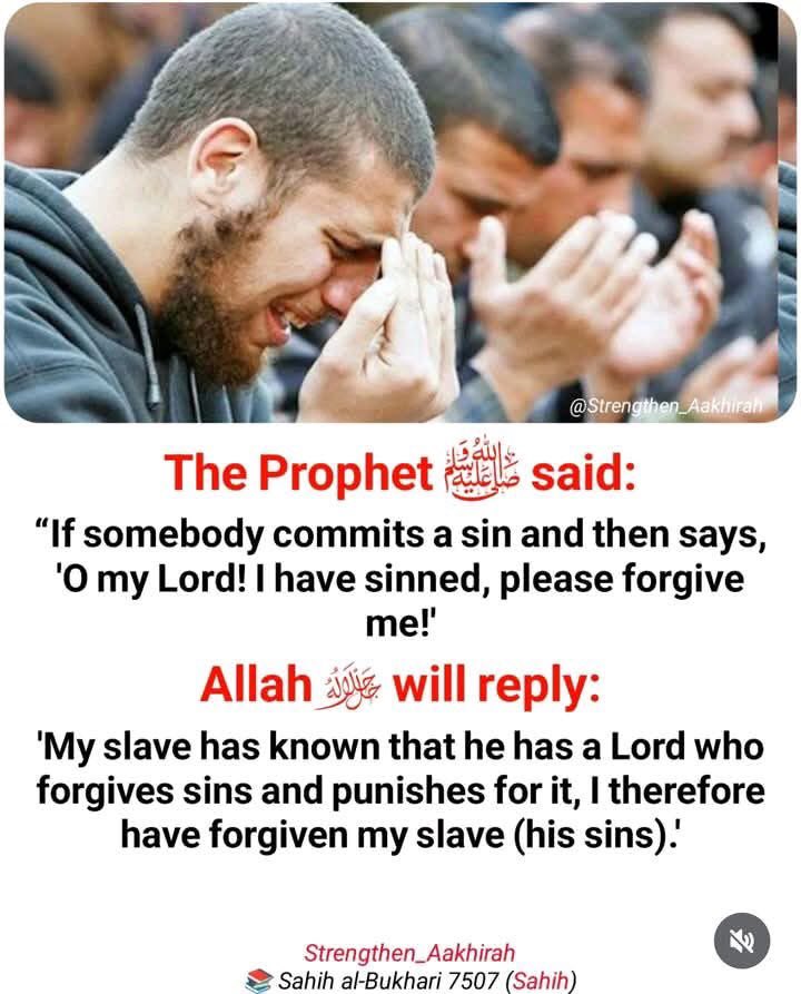 Maipata_'s tweet image. Hadith of the day ❤️🔵