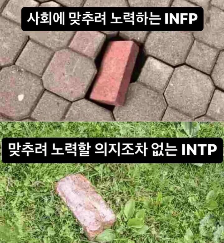 WkfxjfrP's tweet photo. https://t.co/kHbG0LPi6m