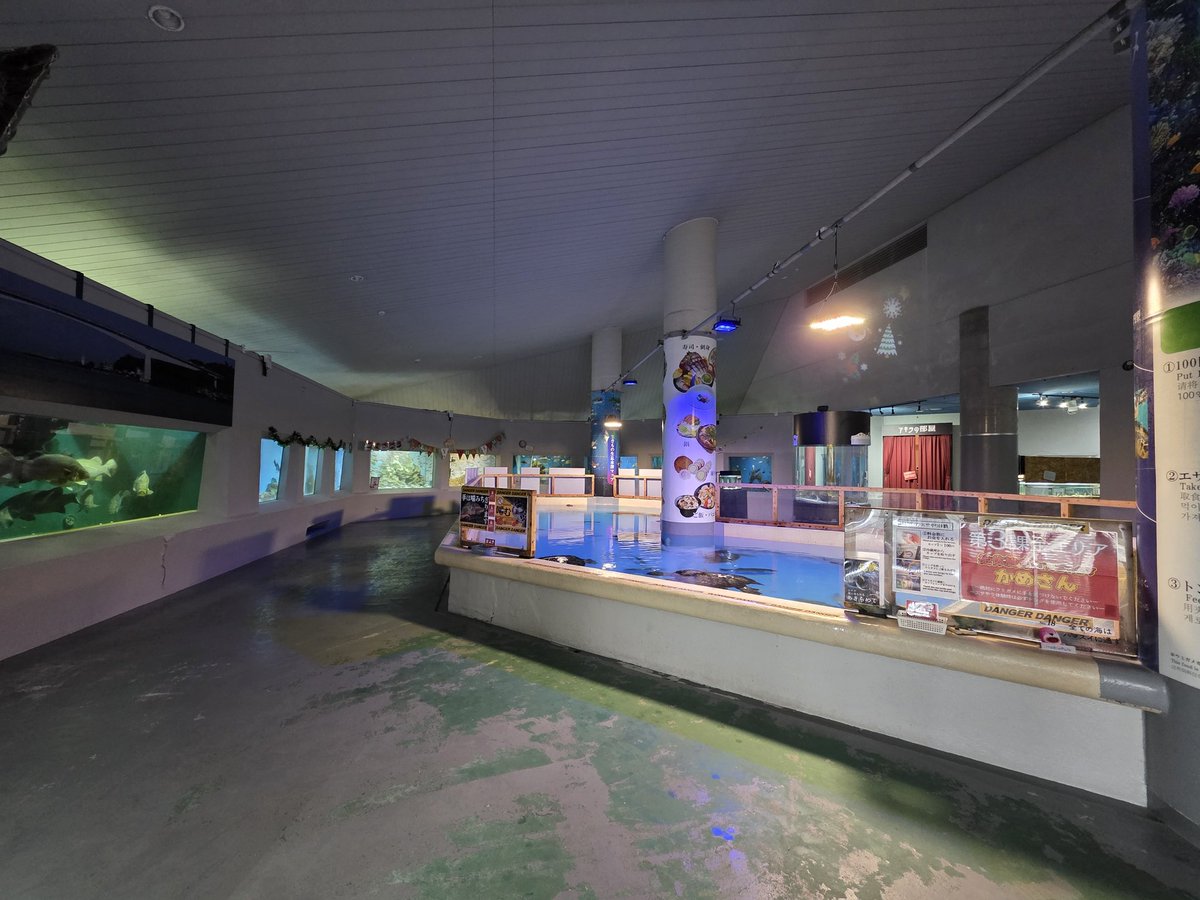 桂浜水族館 公式 tweet media