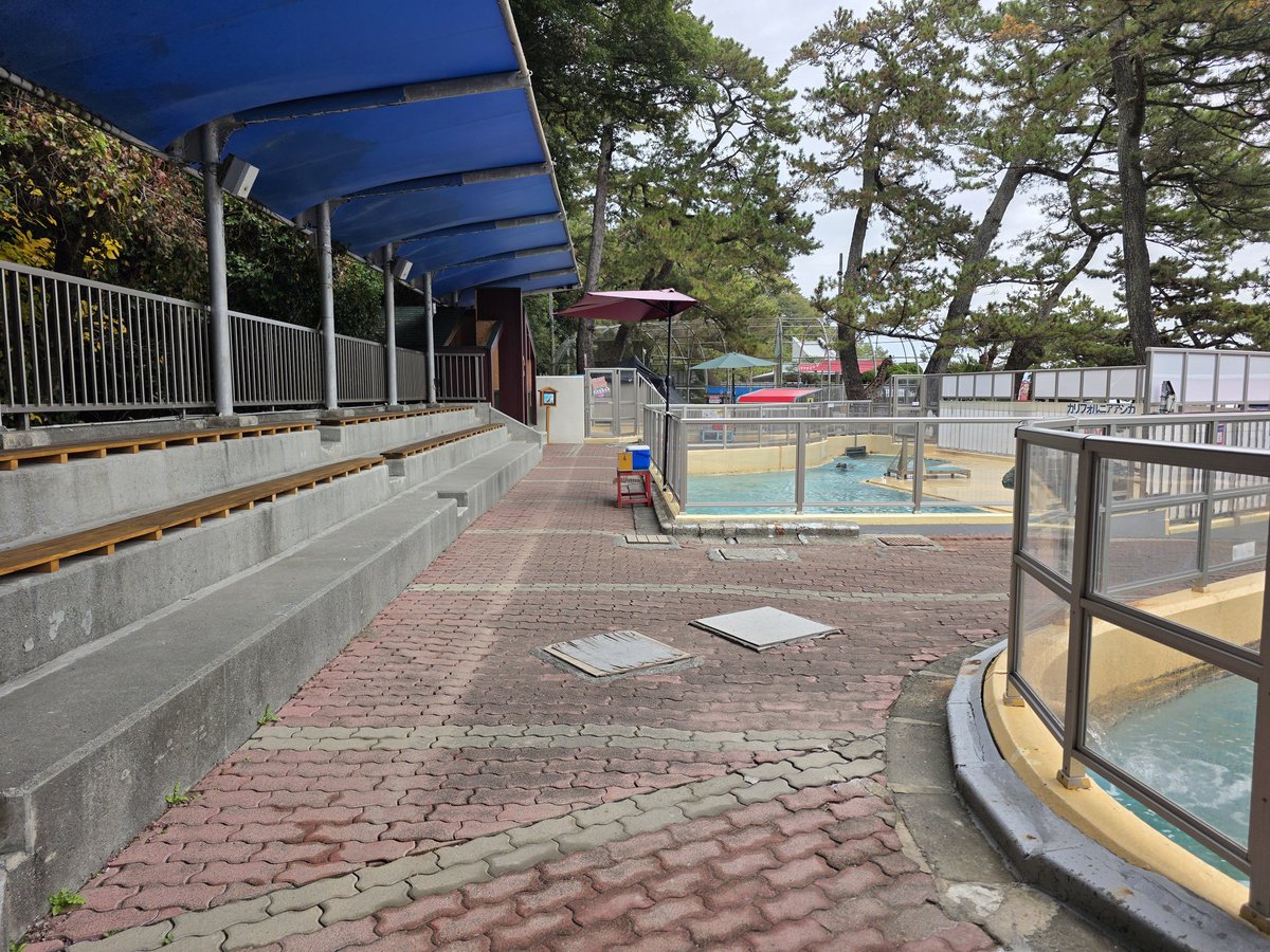 桂浜水族館 公式 tweet media