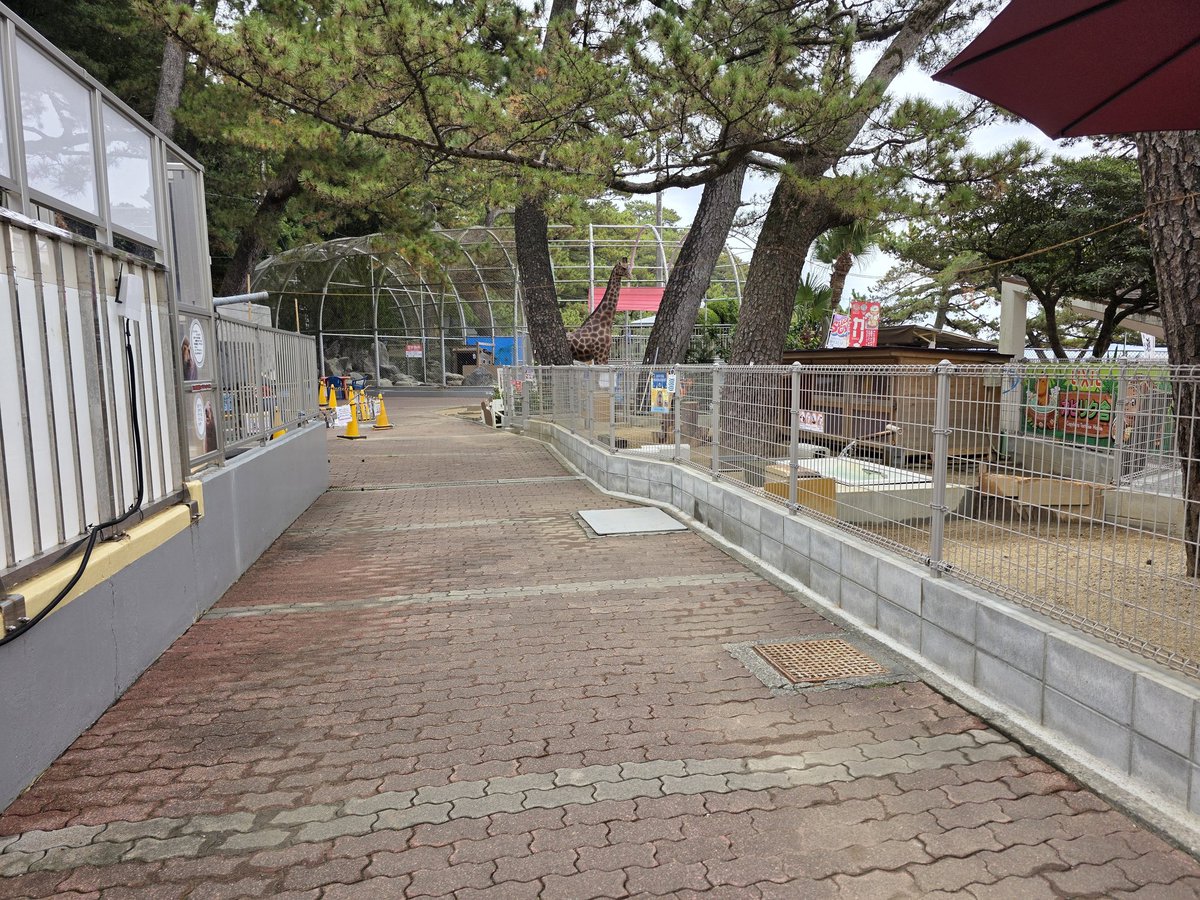 桂浜水族館 公式 tweet media