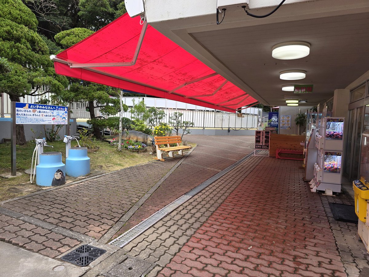 桂浜水族館 公式 tweet media