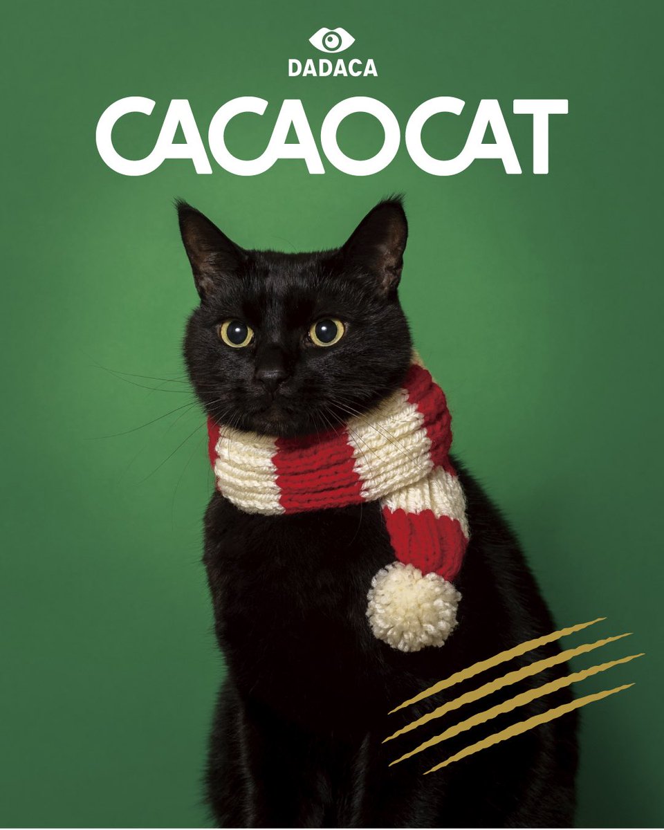 しめじページ shimeji_a.jpg