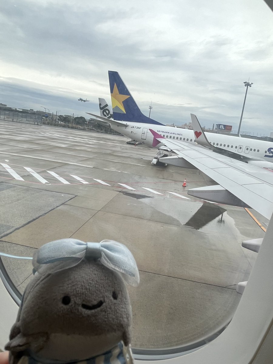 到着してあれやこれや……