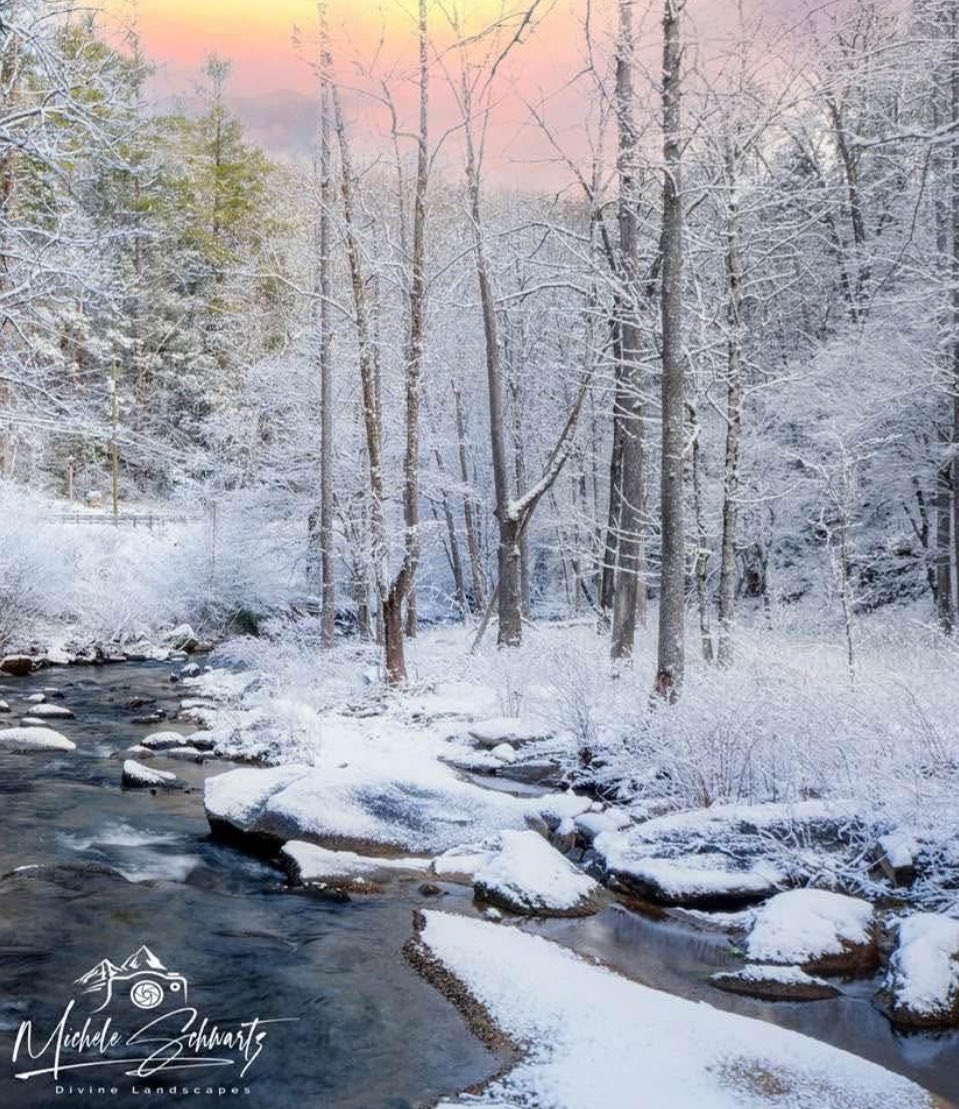 AmeliaMerica76's tweet image. Good evening from
North Carolina! 

📍Bat Cave