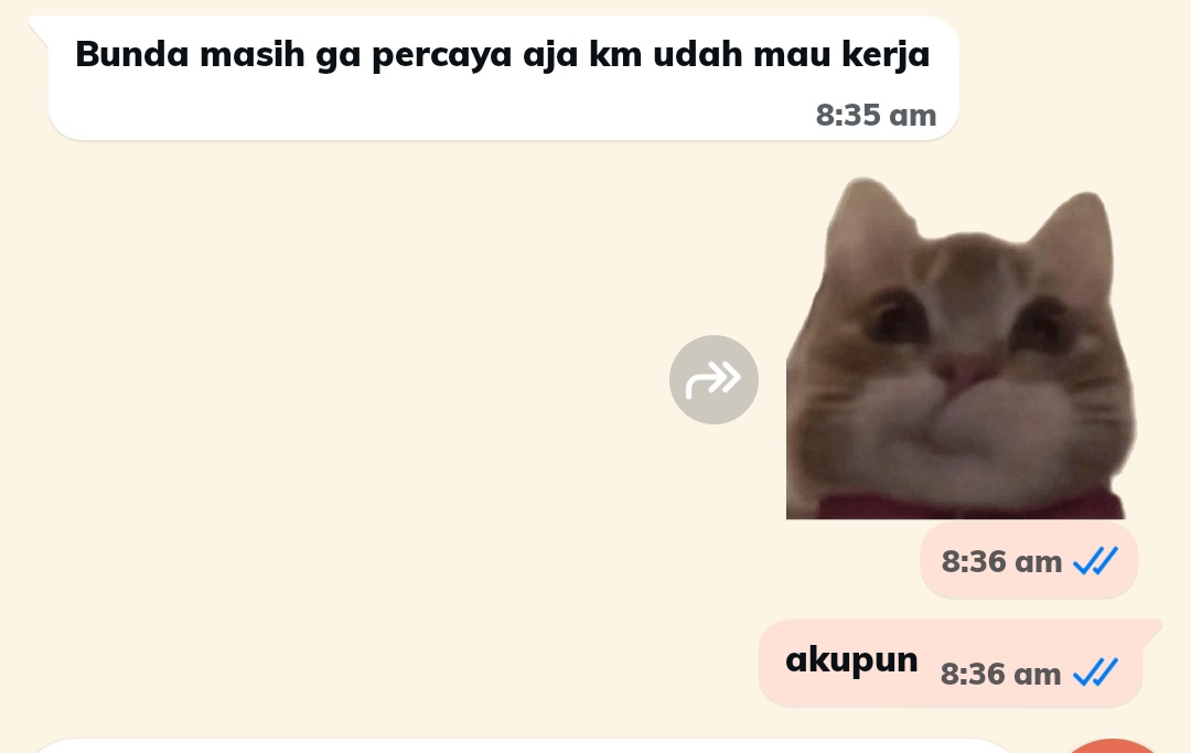 ayas tweet media