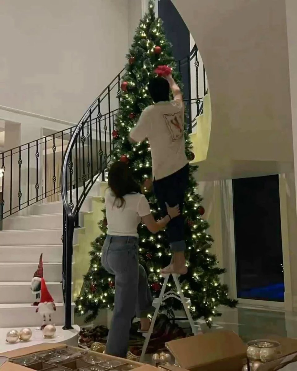 𝒆lenα. tweet media