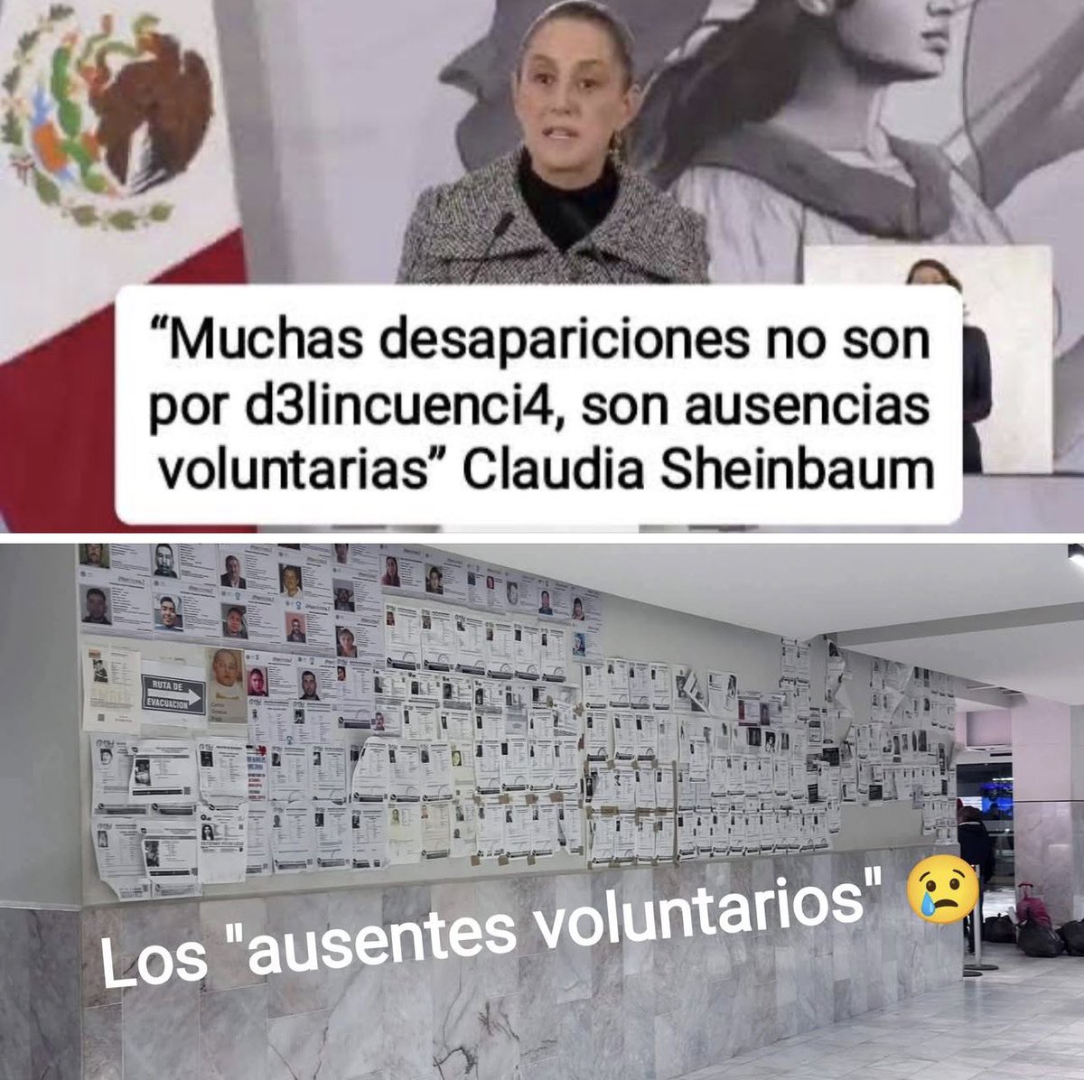 Pues con la novedad de que el gran número de desapariciones en México es debido a "ausencias voluntarias"
Maldita vieja, cínica.😡🤬