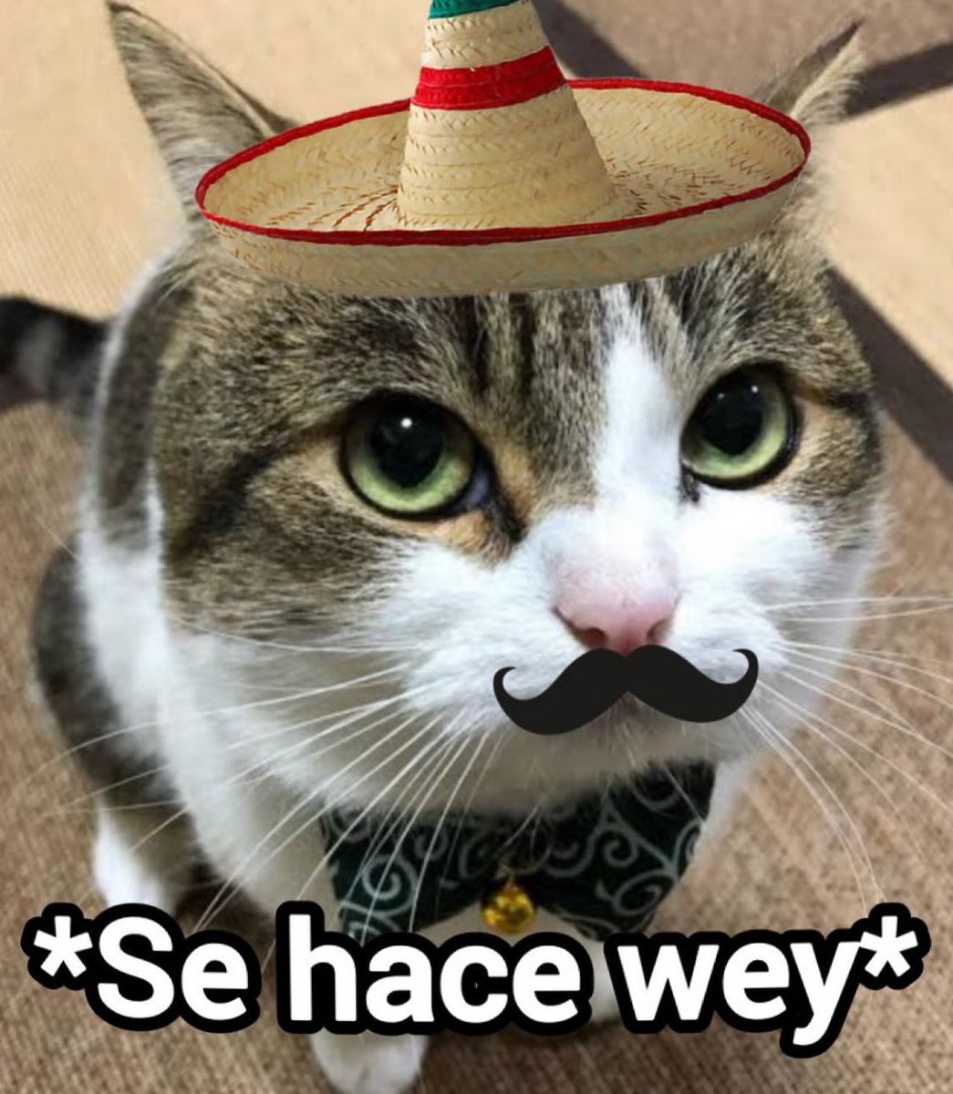 G85dmktXQAASxjo.jpg?format=jpg