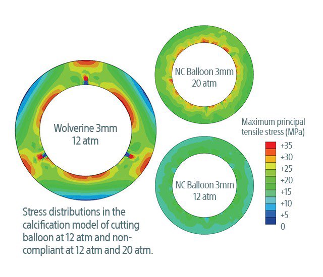 Salman Arain tweet media
