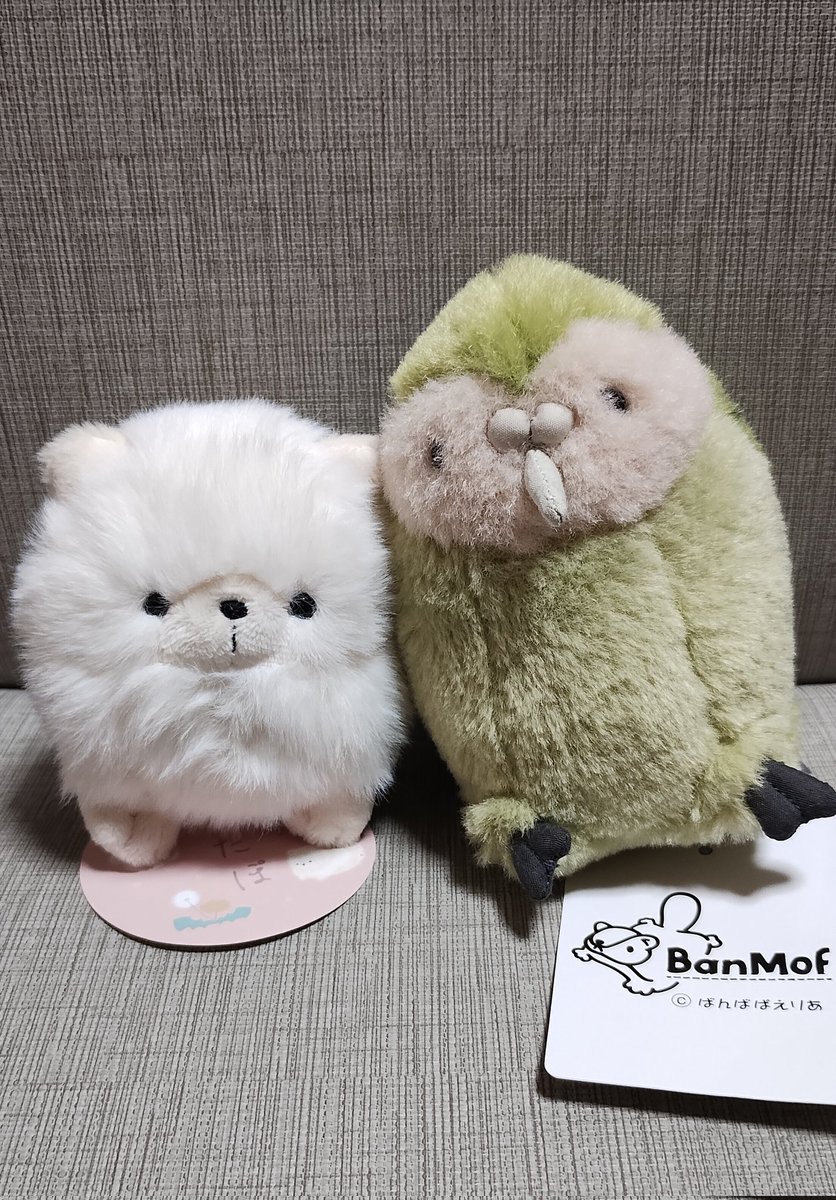 icaさま♡ぬいそうだん 再販】ぬいスター コスチューム うたの☆プリンスさまっ♪ PRINCE CAT