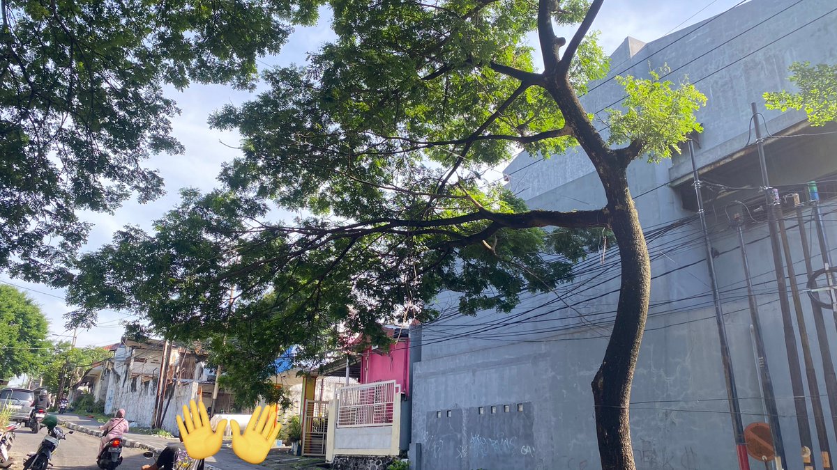 Halo, mohon info untuk pengaduan seperti ini kemana ya? 
Pohon ini dahannya mulai miring, takut patah kena kabel disekitarnya.

Mohon bantuannya, terimakasih 🙏🏻

cc : <a href="/SapawargaSby/">Sapawarga Kota Surabaya</a> <a href="/e100ss/">Radio Suara Surabaya</a> 
lokasi : Jl pakis tirtosari III, depan bengkel honda 99