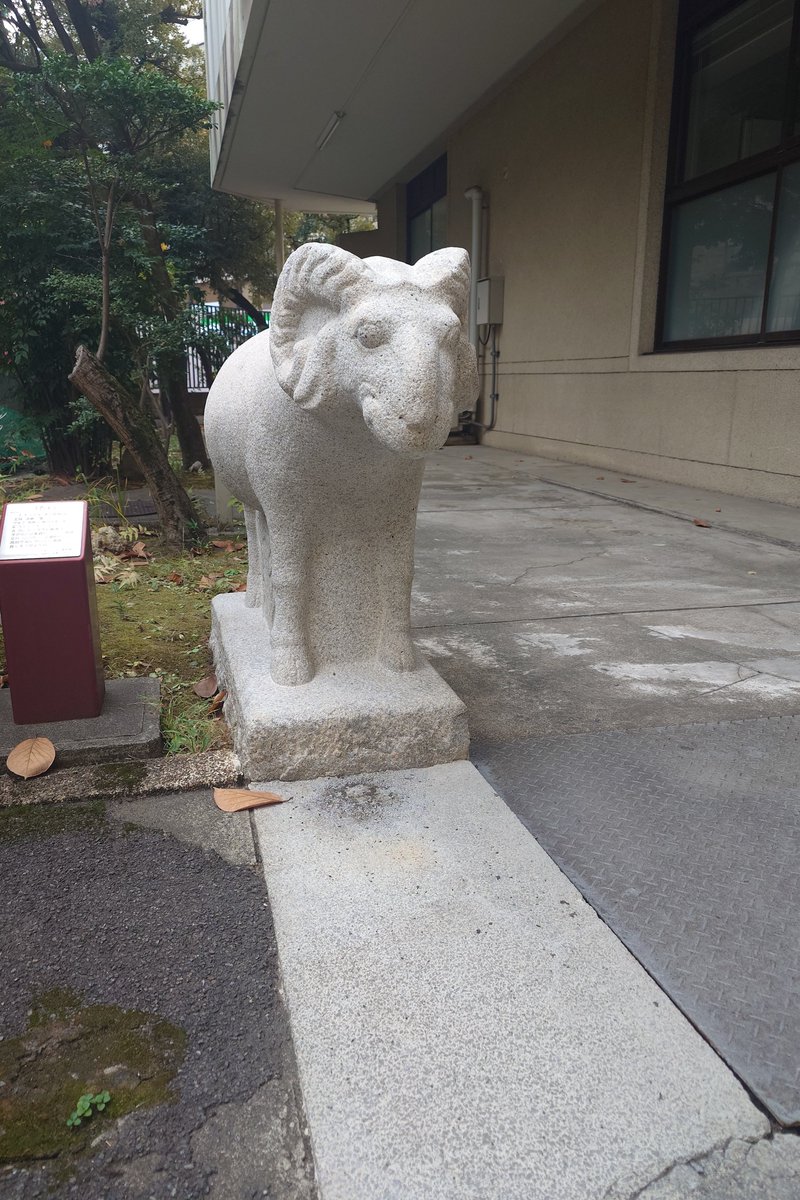 クリスマスイブの今日、ちょっと暖まるお話をひとつ🎄 高田記念研究図書館前の石羊さん、実は先日、プロの方に洗ってもらって冬支度が完了しました🫧✨  白さが増してピカピカです🐏💕 ちなみにこの石羊はWINEにも登録されている図書館資料なんです📚 ぜひ検索してみて ...