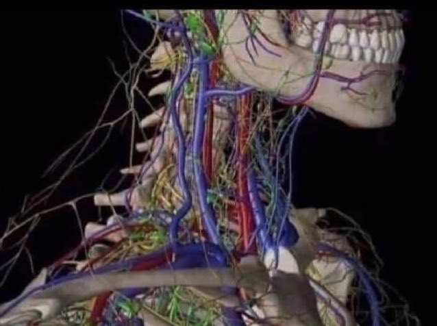 __bee_kay__'s tweet image. If Jesus was an electrician and not a carpenter