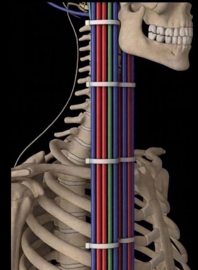 __bee_kay__'s tweet image. If Jesus was an electrician and not a carpenter