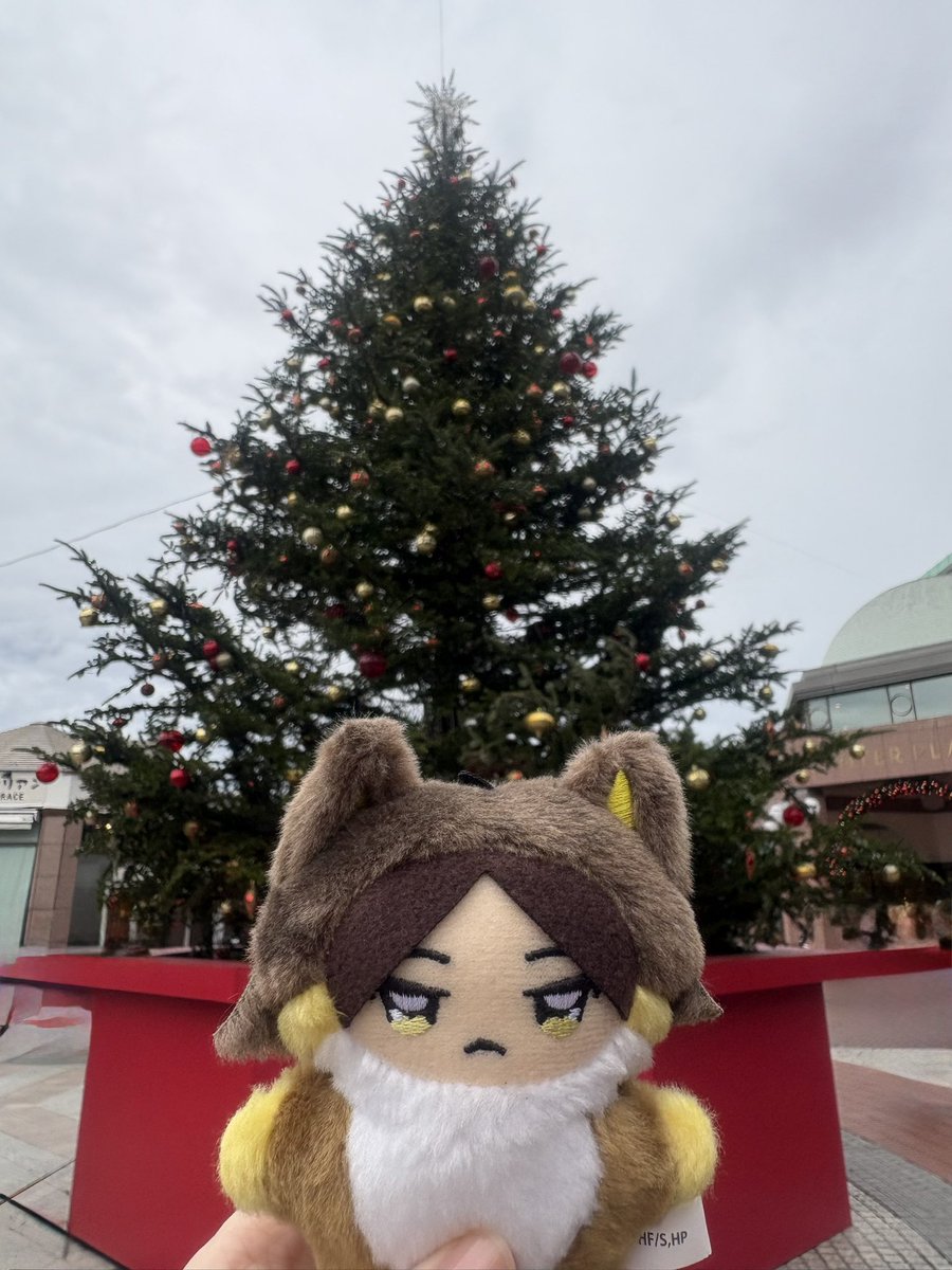 teappll's tweet photo. メリクリ🎄

#うちのちみけも https://t.co/looVMlNVja