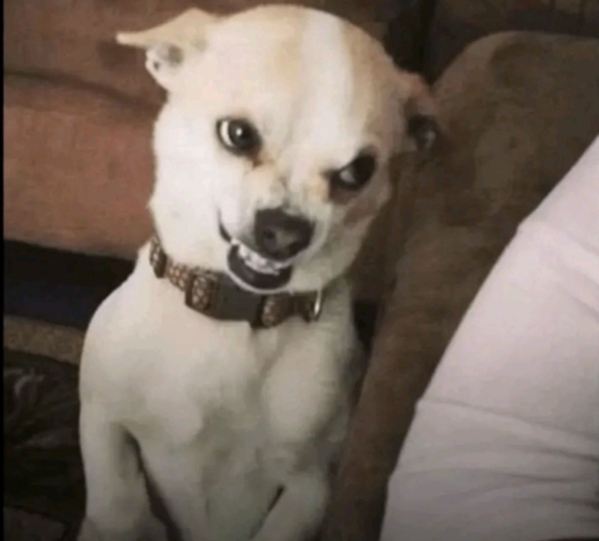 theNanaPoku's tweet image. Obiaa nkɔ da