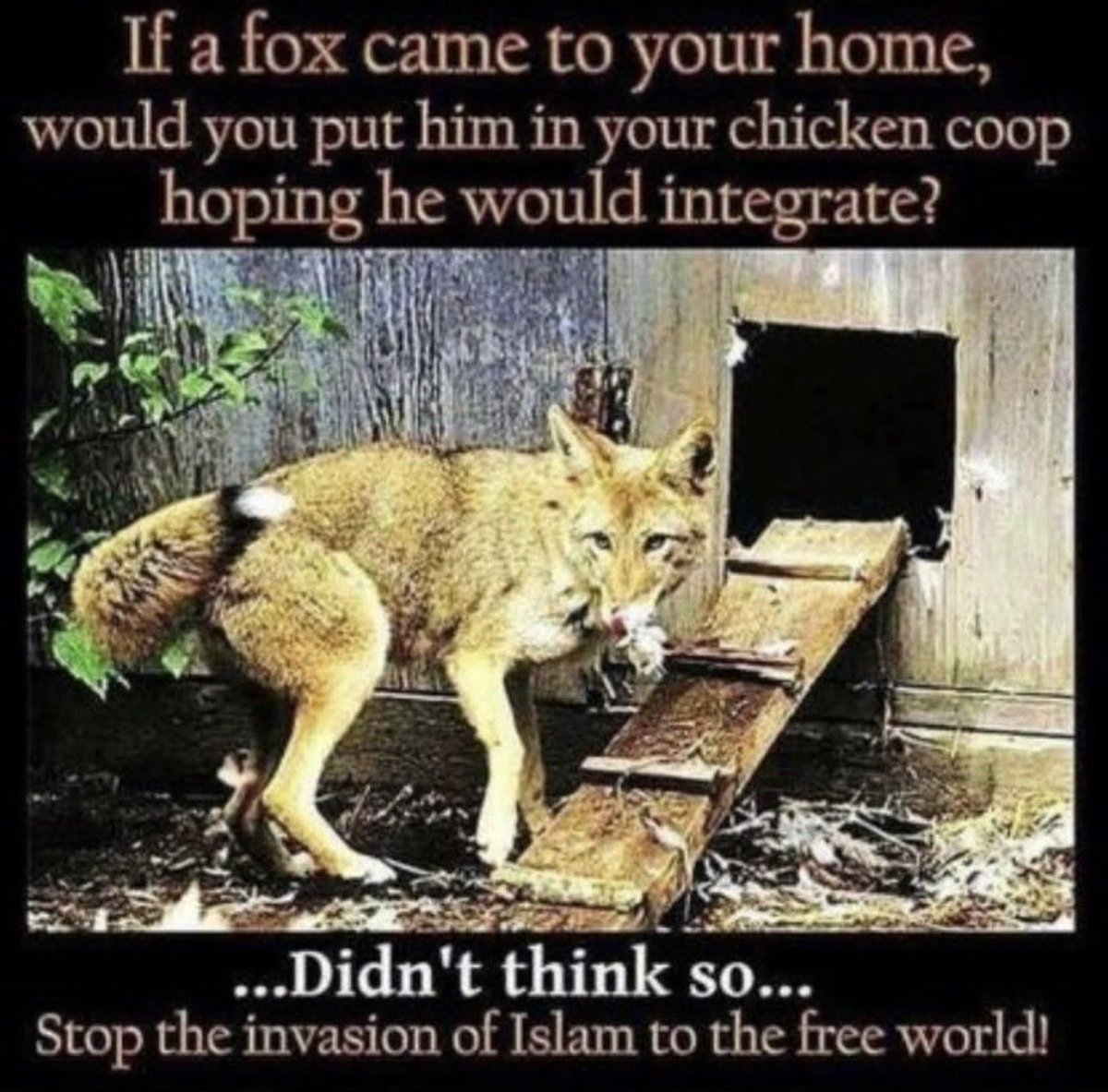 Sunkized01's tweet image. Exactly