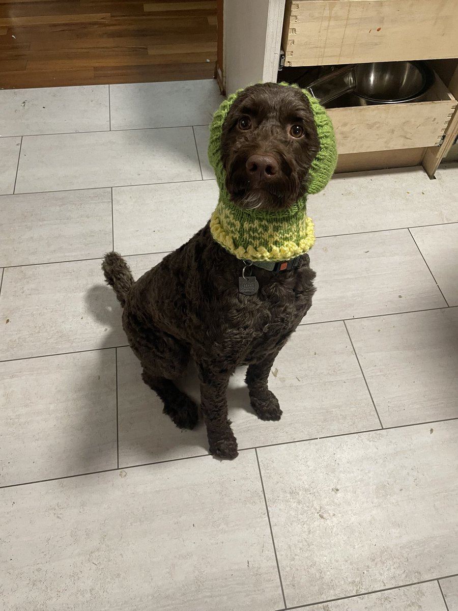 Deanna B tweet media