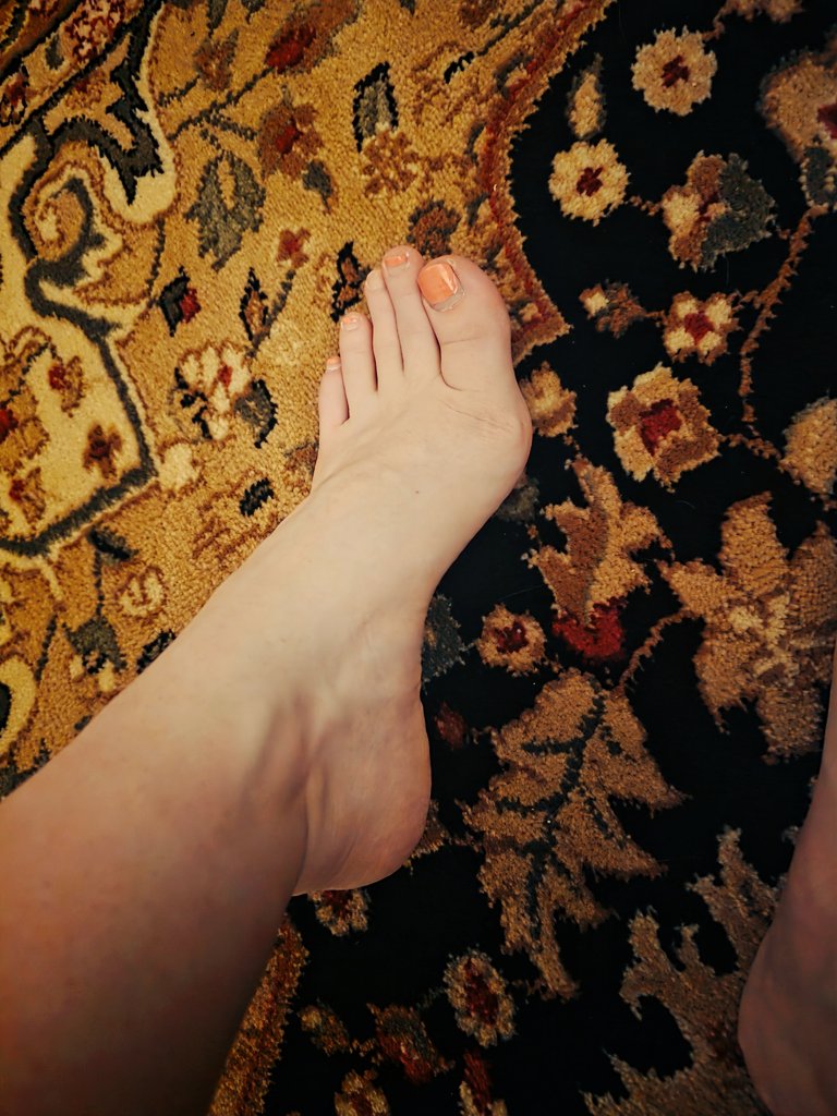 RFeet31554's tweet photo. I do feet pics guys 👠 send me a request on Telegram 💶 https://t.co/egOyekrW7W