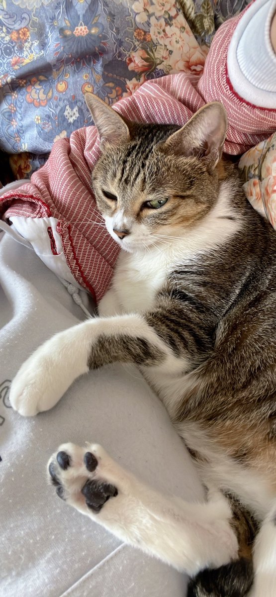 コメくいてー 一番くじ 『珈琲所 コメダ珈琲店』～ほっこりなひととき～｜一番くじ