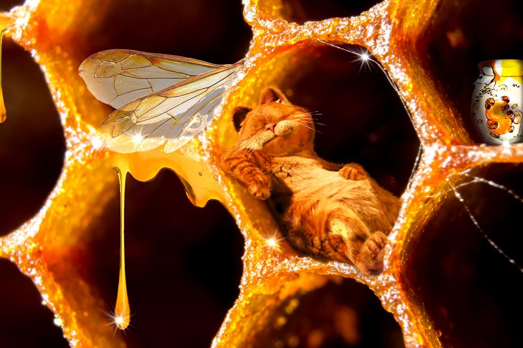 #кторанофстаёттомуКот) ну и мёт