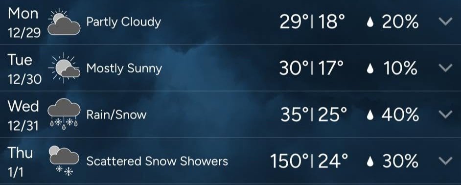 Shelly Asher tweet media