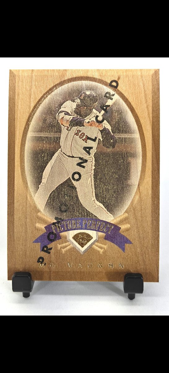 BoSnapsPhoto's tweet image. 1996 Leaf Picture Purfect