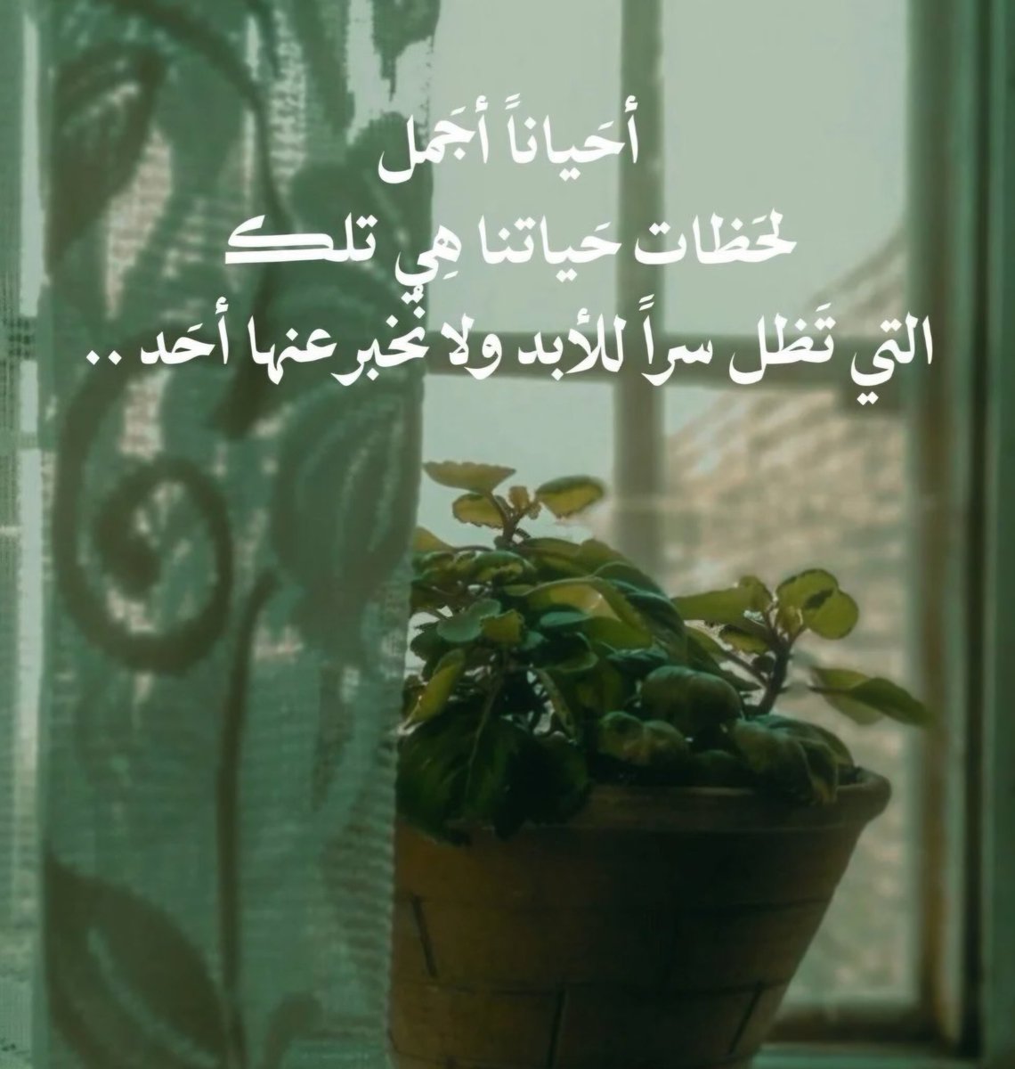 umkhalid84bah's tweet image. صباح النور 
صباح الذكريات الجميلة
صباح الحاضر والمستقبل الجميل

بعض الاشياء ،،، خُلقت لتبقى فالقلب، ولا يشملها قانون الفضفضة.. 🤫

#صباح_الخير #مساء_الخير #القلب #سر #فضفضة #ذكريات_لن_تعود #ذكريات #حلوة