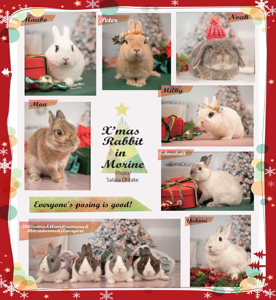 メリークリスマス🎄あいにくの雨模様でございますし肌寒いですが、🐇ちゃんと温かくして素敵な一日をお過ごしくださいネ。明日25日はもう1枚公開します❤💚
（写真／最新号No.98より　プチグラビア改編）