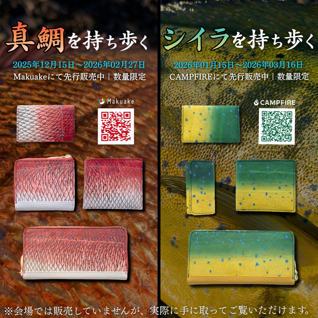 らく🐔エストレヤ (@estrider250) / Posts / X