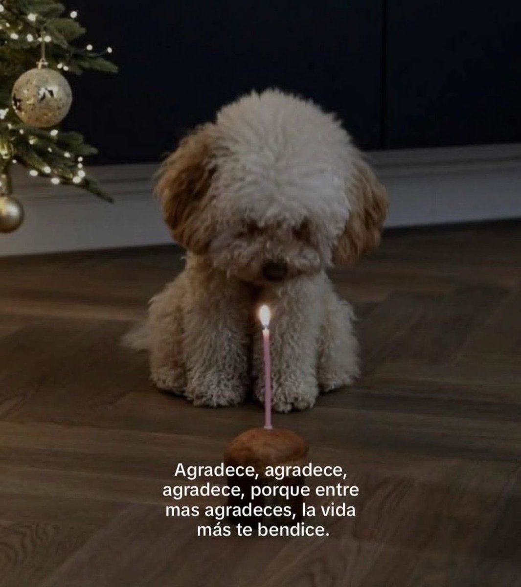 godisgoodpostt's tweet image. 🧡