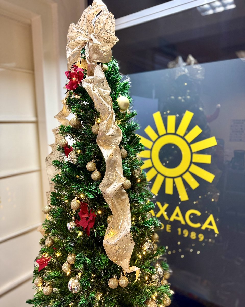 PRDOaxacaA's tweet photo. La navidad llegó al #PRDOaxaca, con el corazón puesto en el pueblo y la mirada en un mejor futuro. ✨☀️🎄
#PRDOaxaca #EnergíaAmarilla ⚡️ #NuevosComienzos #OrgulloPRD https://t.co/A2xzZr9dic